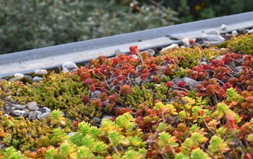 the cost of Edgerton green roof installation