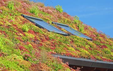 Edgerton living roof systems